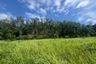 Land for sale in Ao Nang, Krabi