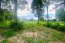 Land for sale in Ban Bueng, Chonburi