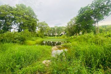 Land for sale in Ban Bueng, Chonburi