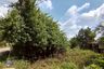 Land for sale in Tha Bun Mi, Chonburi