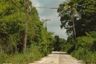 Land for sale in Tha Bun Mi, Chonburi