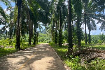 Land for sale in Ao Nang, Krabi