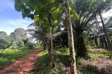 Land for sale in Sai Thai, Krabi