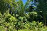 Land for sale in Ao Nang, Krabi