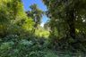 Land for sale in Ao Nang, Krabi