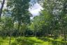 Land for sale in Bang Thong, Phang Nga
