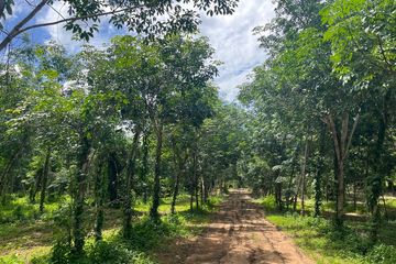 Land for sale in Bang Thong, Phang Nga