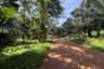 Land for sale in Sai Thai, Krabi