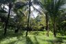 Land for sale in Sai Thai, Krabi