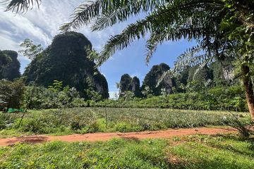 Land for sale in Sai Thai, Krabi
