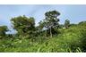 Land for sale in Bo Phut, Surat Thani