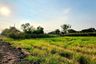 Land for sale in Bueng Yitho, Pathum Thani