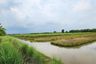 Land for sale in Bueng Yitho, Pathum Thani