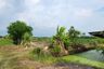 Land for sale in Bueng Yitho, Pathum Thani