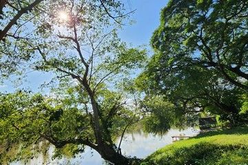 Land for sale in Dan Mae Chalaep, Kanchanaburi