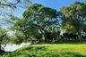 Land for sale in Dan Mae Chalaep, Kanchanaburi