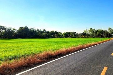 Land for sale in Sai Mun, Nakhon Nayok