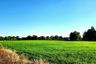 Land for sale in Sai Mun, Nakhon Nayok
