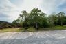 Land for sale in Bueng Yitho, Pathum Thani