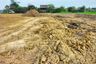 Land for sale in Rai Rot, Suphan Buri