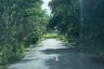 Land for sale in Nong Sarai, Nakhon Ratchasima