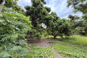 Land for rent in Don Kaeo, Chiang Mai