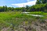 Land for Sale or Rent in Khlong Nueng, Pathum Thani