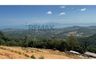 Land for sale in Mae Nam, Surat Thani