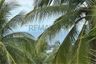 Land for sale in Ko Pha-ngan, Surat Thani