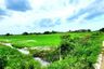 Land for sale in Bueng Yitho, Pathum Thani