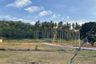 Land for sale in Na Mueang, Surat Thani