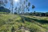 Land for sale in Na Mueang, Surat Thani
