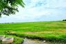 Land for sale in Bueng Yitho, Pathum Thani