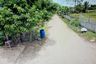 Land for sale in Kan Chu, Phetchabun