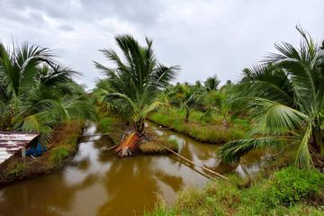 Land for sale in Khao Yoi, Phetchaburi