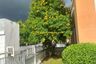 3 Bedroom House for rent in Ban Waen, Chiang Mai