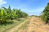 Land for sale in Khlong Preng, Chachoengsao