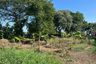 Land for sale in Bang Kaeo, Samut Prakan