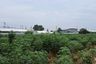 Land for sale in Bueng, Chonburi