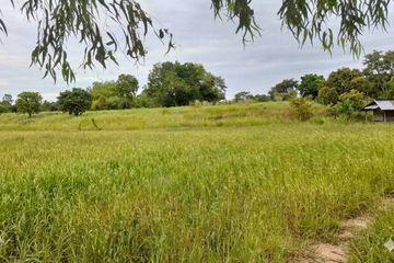 Land for sale in Mueang Phon, Khon Kaen