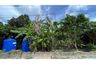 Land for sale in Lipa Noi, Surat Thani