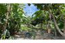 Land for sale in Lipa Noi, Surat Thani