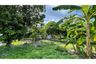 Land for sale in Lipa Noi, Surat Thani