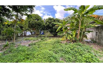 Land for sale in Lipa Noi, Surat Thani