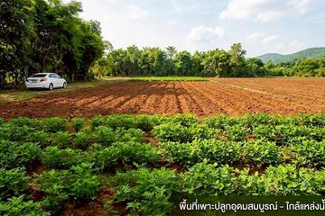 Land for sale in Duea Si Khan Chai, Sakon Nakhon
