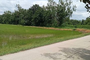 Land for sale in Lam Narai, Lopburi