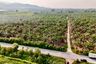 Land for sale in Khlong Kio, Chonburi