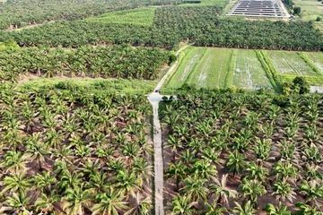 Land for sale in Khlong Kio, Chonburi