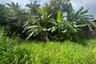 Land for sale in Ao Nang, Krabi