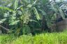 Land for sale in Ao Nang, Krabi
